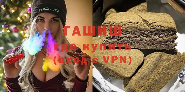 шишки Горняк
