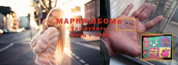шишки Горняк