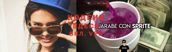 шишки Горняк