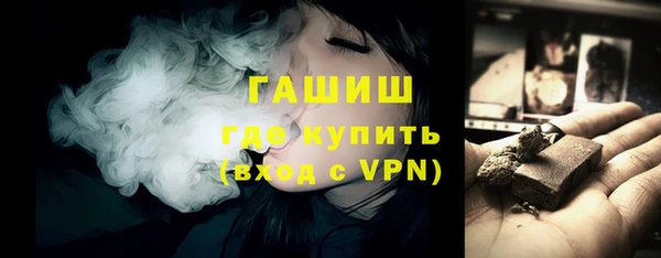 шишки Горняк