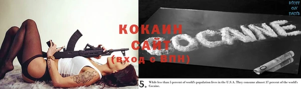 шишки Горняк