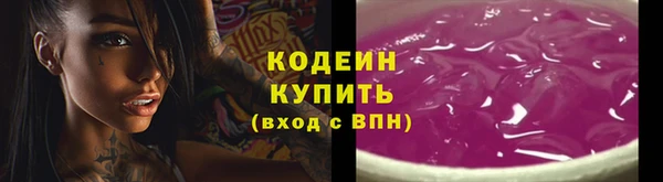 шишки Горняк