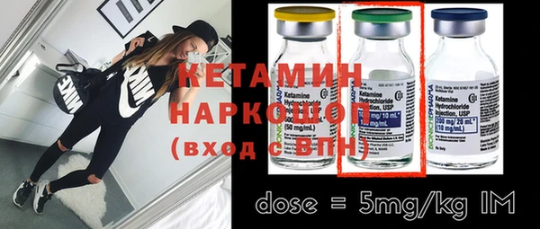 шишки Горняк