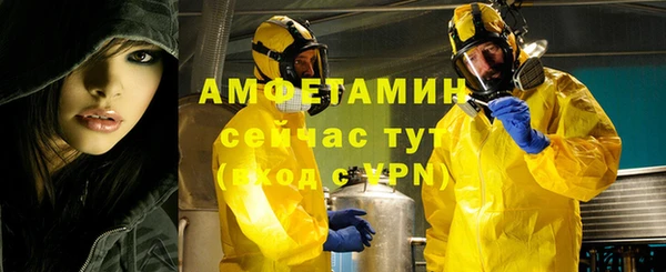 шишки Горняк
