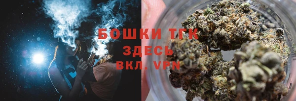шишки Горняк