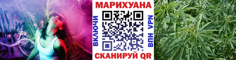 Купить где  Алдан  Бошки Шишки White Widow 